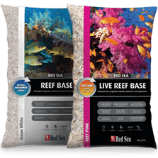 Red Sea Live Reef Base Pink 10 kg
